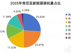 電費1.4元/度，肯尼亞光儲市場，真的能殺進去了？